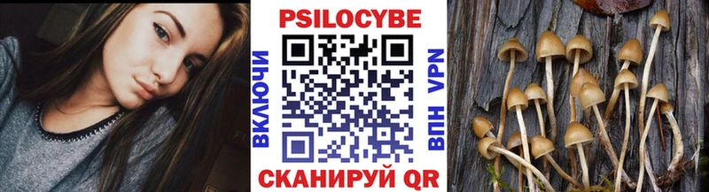 Галлюциногенные грибы Cubensis  МЕГА зеркало  Щигры 
